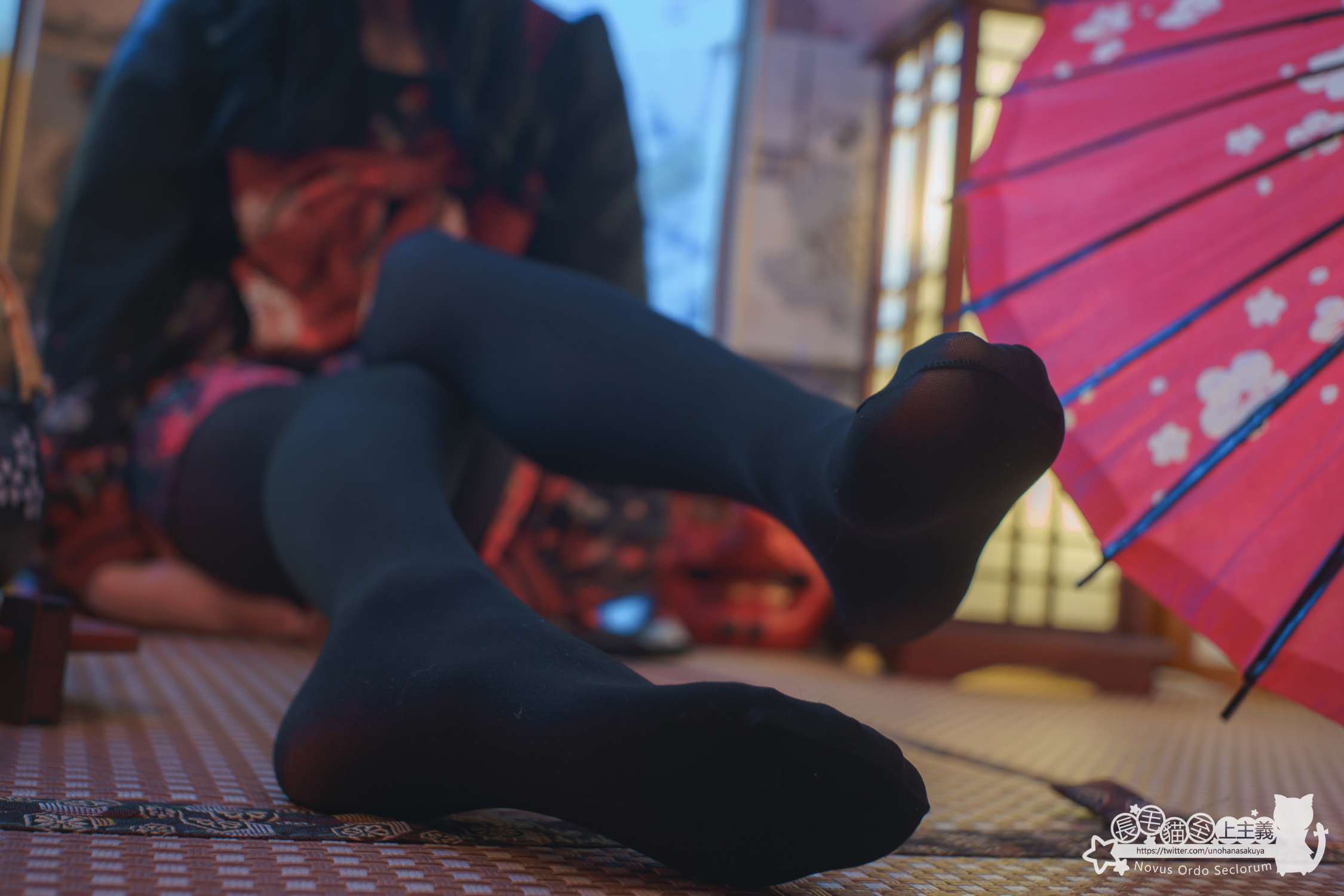 图片[2]-木花琳琳是勇者 NO.113 彼岸花の咲く夜に-虎绰