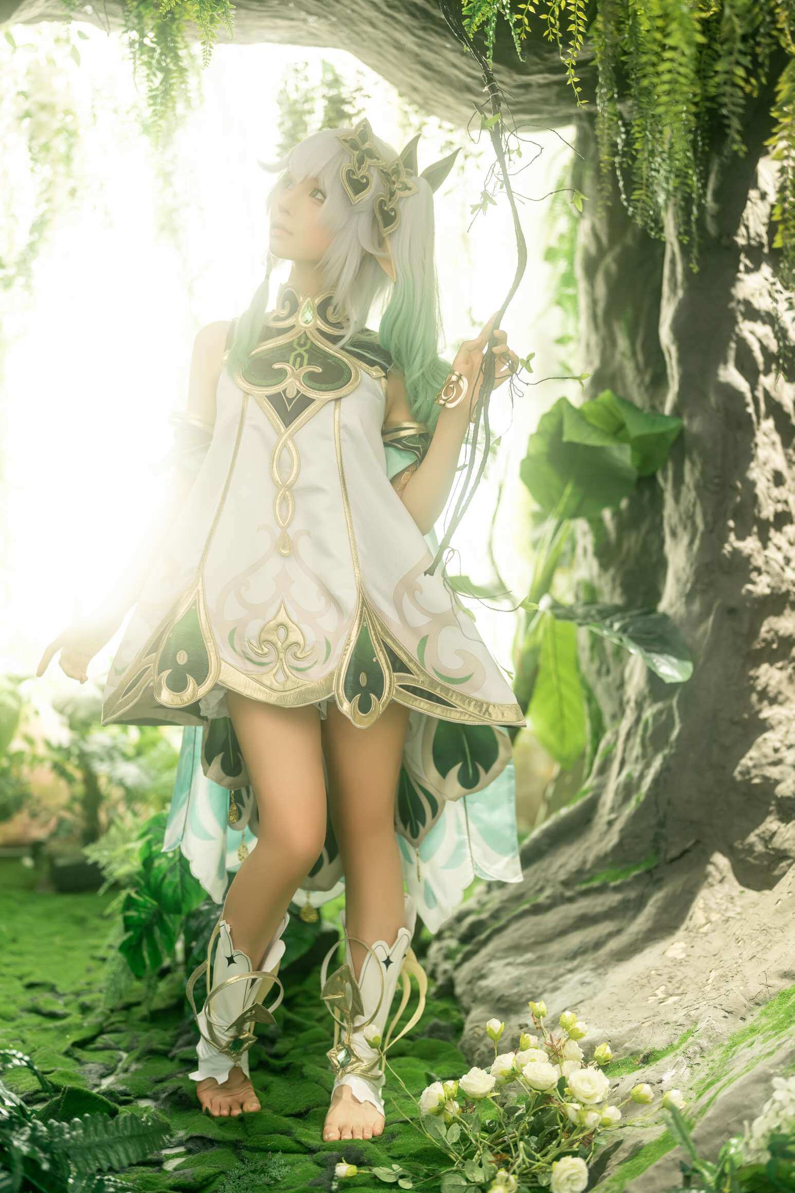 蠢沫沫 NO.224 大慈树王-虎绰